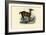 Llama, 1863-79-Raimundo Petraroja-Framed Giclee Print