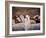 Llama and Alpaca Herd, Lares Valley, Cordillera Urubamba, Peru-Kristin Piljay-Framed Photographic Print