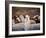 Llama and Alpaca Herd, Lares Valley, Cordillera Urubamba, Peru-Kristin Piljay-Framed Photographic Print