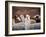 Llama and Alpaca Herd, Lares Valley, Cordillera Urubamba, Peru-Kristin Piljay-Framed Photographic Print