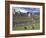 Llama and Ruins, Machu Picchu, Peru-Claudia Adams-Framed Photographic Print