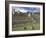 Llama and Ruins, Machu Picchu, Peru-Claudia Adams-Framed Photographic Print