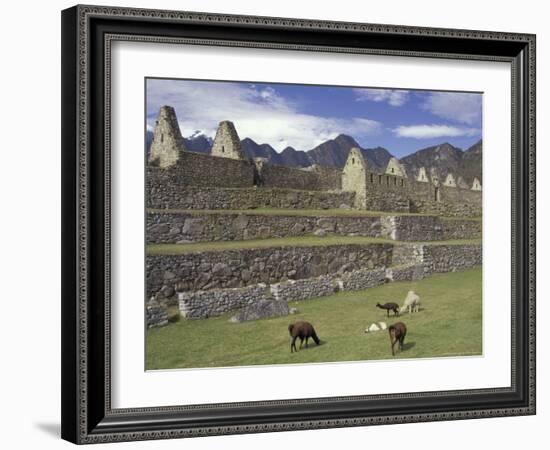 Llama and Ruins, Machu Picchu, Peru-Claudia Adams-Framed Photographic Print