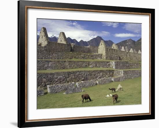 Llama and Ruins, Machu Picchu, Peru-Claudia Adams-Framed Photographic Print