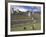 Llama and Ruins, Machu Picchu, Peru-Claudia Adams-Framed Photographic Print