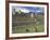 Llama and Ruins, Machu Picchu, Peru-Claudia Adams-Framed Photographic Print