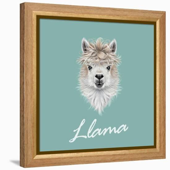 Llama Animal Portrait-ant_art-Framed Stretched Canvas