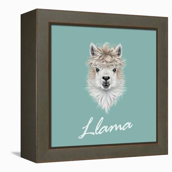 Llama Animal Portrait-ant_art-Framed Stretched Canvas