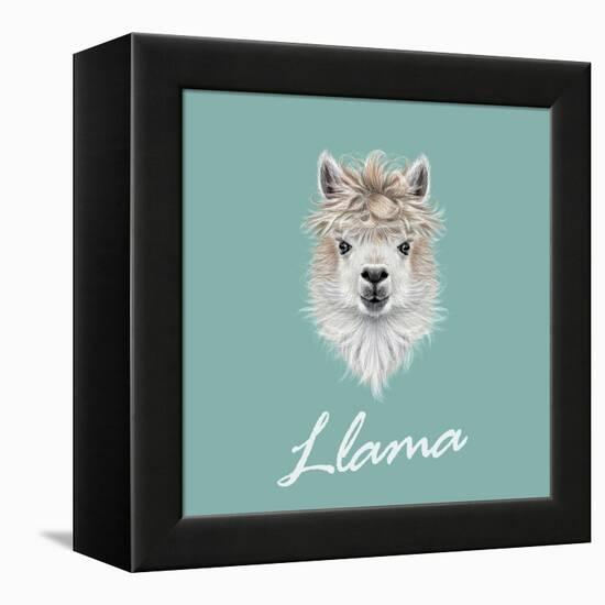 Llama Animal Portrait-ant_art-Framed Stretched Canvas