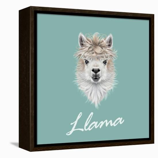 Llama Animal Portrait-ant_art-Framed Stretched Canvas