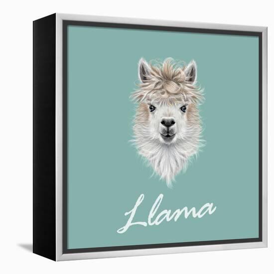 Llama Animal Portrait-ant_art-Framed Stretched Canvas