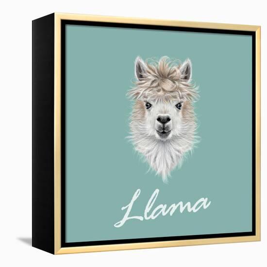 Llama Animal Portrait-ant_art-Framed Stretched Canvas