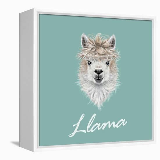 Llama Animal Portrait-ant_art-Framed Stretched Canvas
