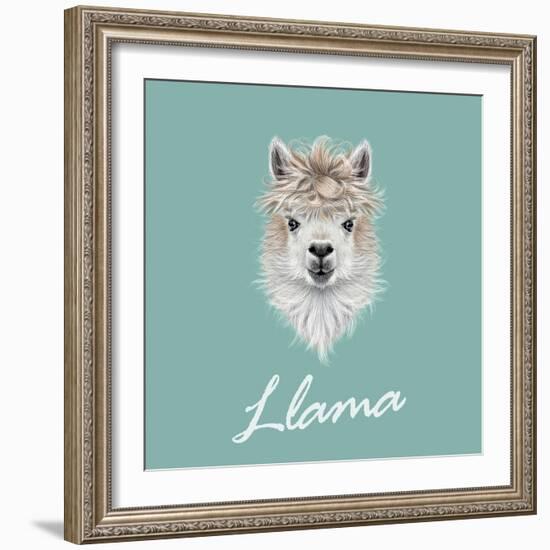 Llama Animal Portrait-ant_art-Framed Art Print