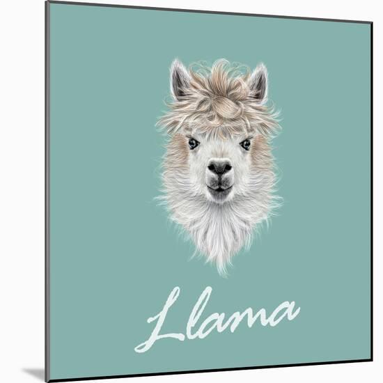 Llama Animal Portrait-ant_art-Mounted Art Print