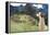 Llama at Historic Lost City of Machu Picchu - Peru-Yaro-Framed Premier Image Canvas