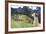 Llama at Historic Lost City of Machu Picchu - Peru-Yaro-Framed Photographic Print