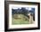 Llama at Historic Lost City of Machu Picchu - Peru-Yaro-Framed Photographic Print