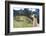 Llama at Historic Lost City of Machu Picchu - Peru-Yaro-Framed Photographic Print