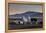 Llama Gathering in the Sajama National Park-Alex Saberi-Framed Premier Image Canvas