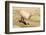 Llama in A Mountain Landscape, Peru-demerzel21-Framed Photographic Print