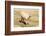 Llama in A Mountain Landscape, Peru-demerzel21-Framed Photographic Print