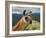 Llama in Machu Picchu, Cusco Region, Peru, South America-Karol Kozlowski-Framed Photographic Print