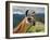 Llama in Machu Picchu, Cusco Region, Peru, South America-Karol Kozlowski-Framed Photographic Print