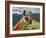 Llama in Machu Picchu, Cusco Region, Peru, South America-Karol Kozlowski-Framed Photographic Print