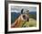 Llama in Machu Picchu, Cusco Region, Peru, South America-Karol Kozlowski-Framed Photographic Print