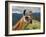 Llama in Machu Picchu, Cusco Region, Peru, South America-Karol Kozlowski-Framed Photographic Print