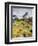 Llama in Machu Picchu, UNESCO World Heritage Site, Cusco Region, Peru, South America-Karol Kozlowski-Framed Photographic Print