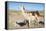 Llama in Salinas Grandes in Jujuy, Argentina.-Anibal Trejo-Framed Premier Image Canvas