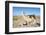 Llama in Salinas Grandes in Jujuy, Argentina.-Anibal Trejo-Framed Photographic Print