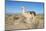 Llama in Salinas Grandes in Jujuy, Argentina.-Anibal Trejo-Mounted Photographic Print