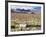 Llama in the Altiplano, Bolivia, South America-Christian Kober-Framed Photographic Print