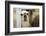 Llama (Lama Glama) Looking into Camera-Matt Freedman-Framed Photographic Print