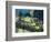 Llama, Machu Picchu, Peru-Miva Stock-Framed Photographic Print