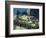 Llama, Machu Picchu, Peru-Miva Stock-Framed Photographic Print