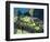 Llama, Machu Picchu, Peru-Miva Stock-Framed Photographic Print