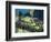 Llama, Machu Picchu, Peru-Miva Stock-Framed Photographic Print