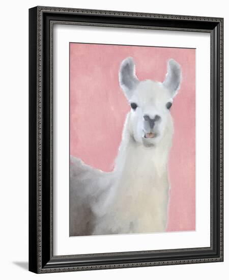 Llama on Pink-Kimberly Allen-Framed Art Print