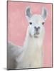 Llama on Pink-Kimberly Allen-Mounted Art Print