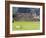 Llama Resting on Main Plaza, Machu Picchu, Peru-Diane Johnson-Framed Photographic Print