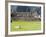 Llama Resting on Main Plaza, Machu Picchu, Peru-Diane Johnson-Framed Photographic Print