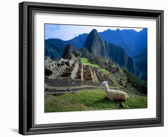 Llama Rests Overlooking Ruins of Machu Picchu in the Andes Mountains, Peru-Jim Zuckerman-Framed Photographic Print