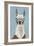 Llama Specs I-Victoria Borges-Framed Art Print