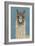 Llama Specs IV-Victoria Borges-Framed Art Print