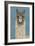 Llama Specs IV-Victoria Borges-Framed Premium Giclee Print