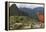 Llama standing at Machu Picchu viewpoint, UNESCO World Heritage Site, Peru, South America-Don Mammoser-Framed Premier Image Canvas